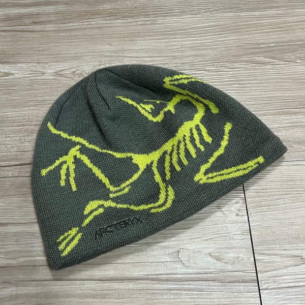 아크테릭스 비니