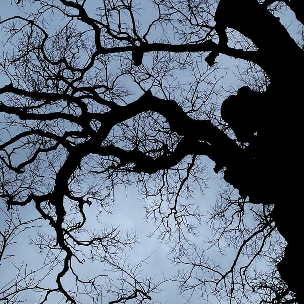 Rickowens geobasket 43