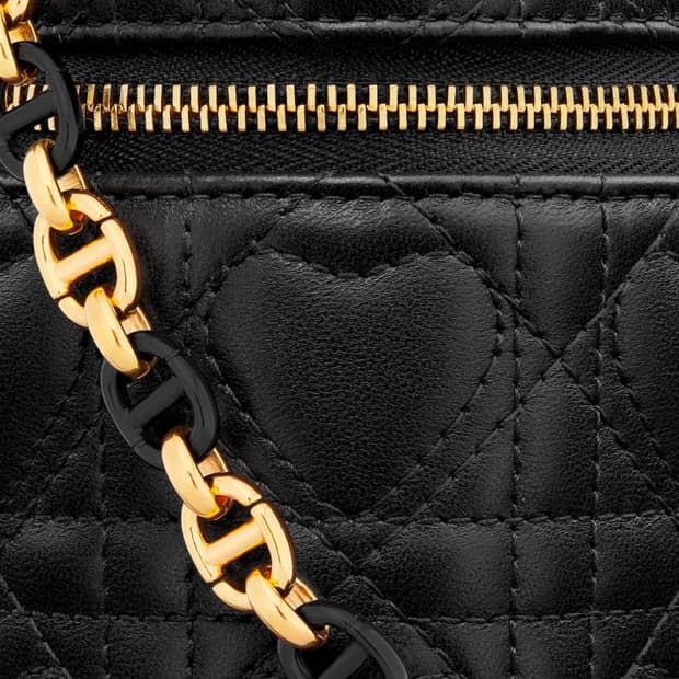 [한소희착용] Dior 카로 마이크로 하트 베니티 백🖤