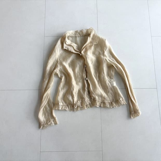 sheer ruffle hem blouse