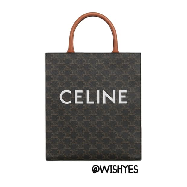 셀린느 CELINE 스몰 카바스 버티컬 트리옹프 캔버스 숄더백 크로스백