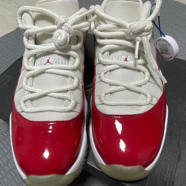 nike air jordan 11 retro low 