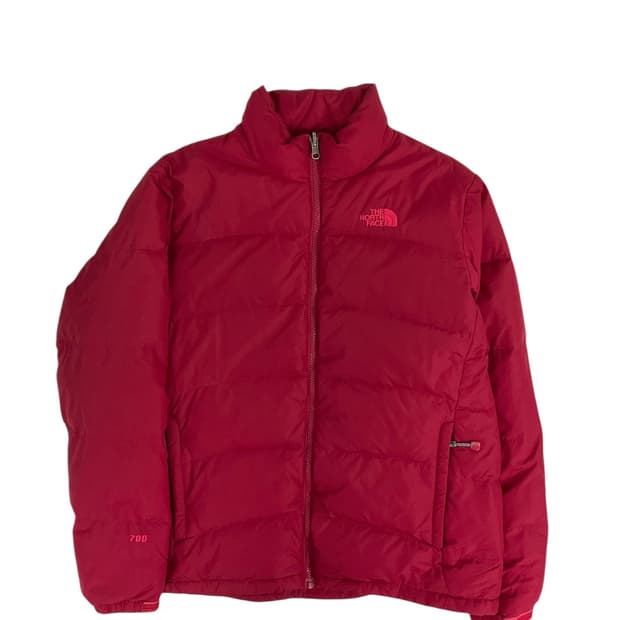 Thenorthface (95)