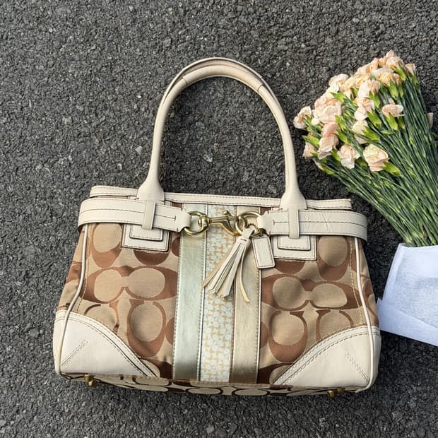 🌟희귀 Coach Hamptons Signature