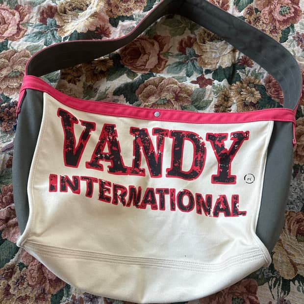 Vandy the pink 가방