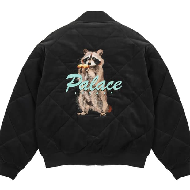 팔라스 라쿤 S사이즈 구매합니다