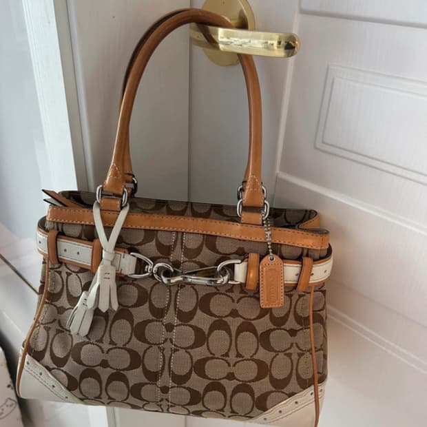 코치 시그니처 캔버스 토트백 브라운