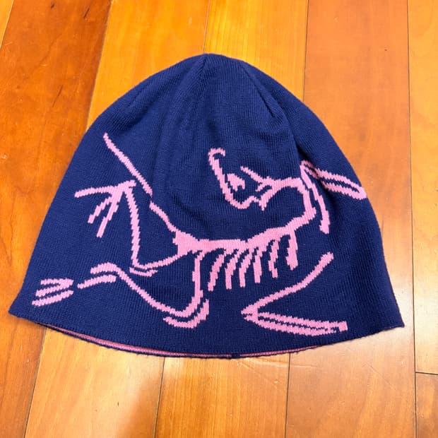 아크테릭스 비니