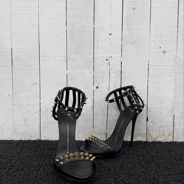 giuseppe zanotti