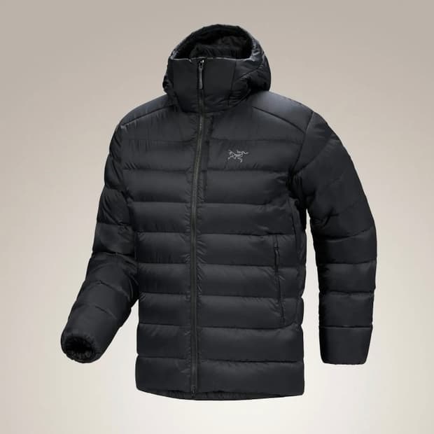 아크테릭스 토륨후디 L사이즈