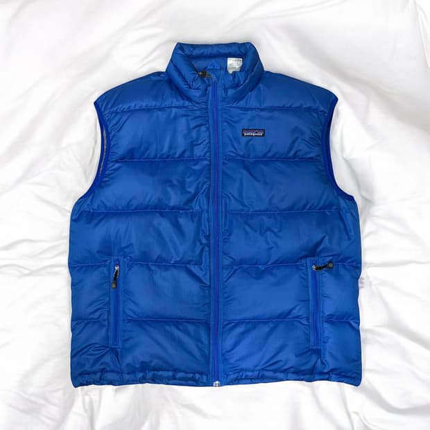 Patagonia goose down vest