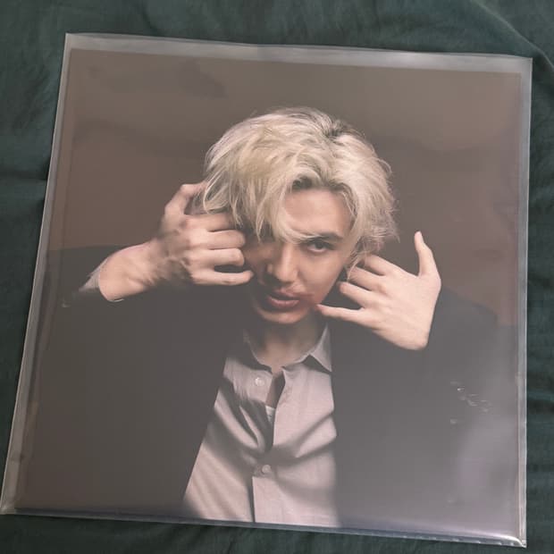 베스트 오브 후지이카제 lp