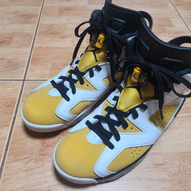 나이키 조던6 옐로 오커 260