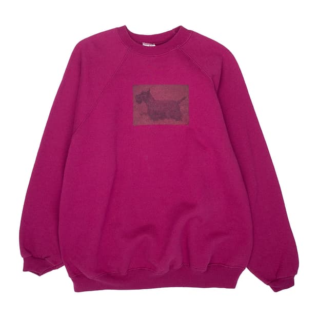 USA wild dunes sweat shirt (XL)