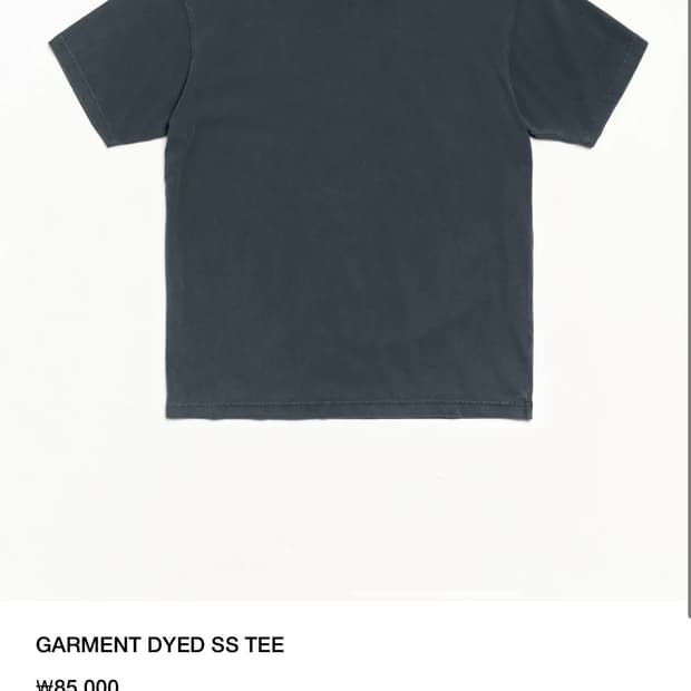 스투시 가먼트 다이드 GARMENT DYED SS TEE
