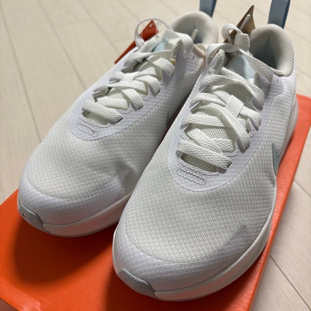 나이키 프로미나 FV6343-105 / 230