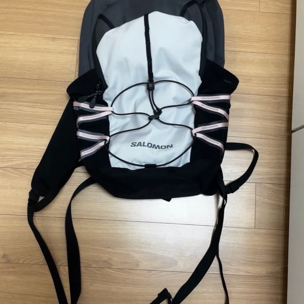 살로몬 퀵레이스 LT 백팩 라이트 그레이