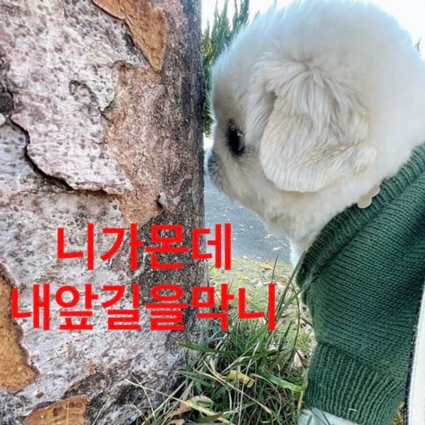 세일연장 및 추석연휴 택배공지임 ㅋ