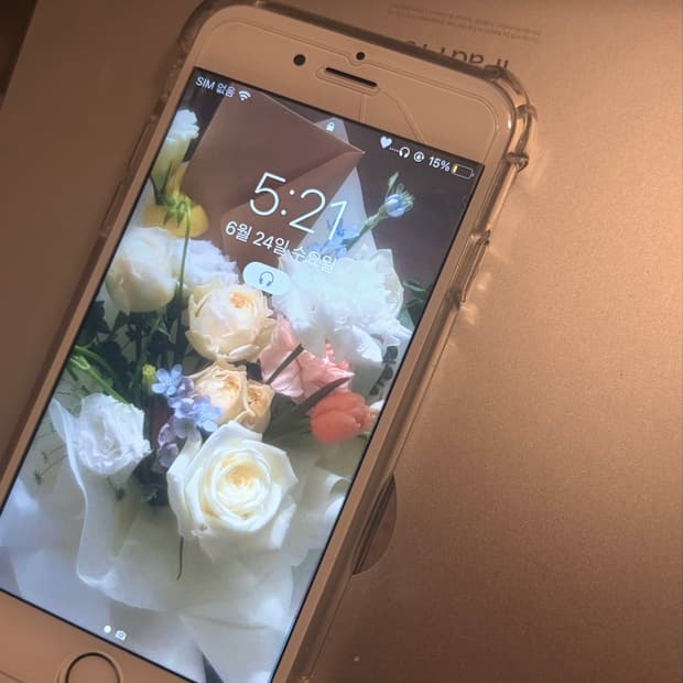 순정 아이폰6s 배터리100