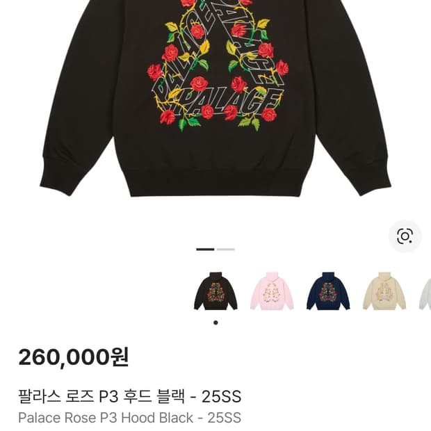 팔라스 로즈 P3 후드 블랙 XL