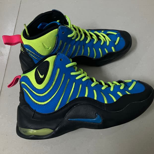 나이키 에어 바킨 240