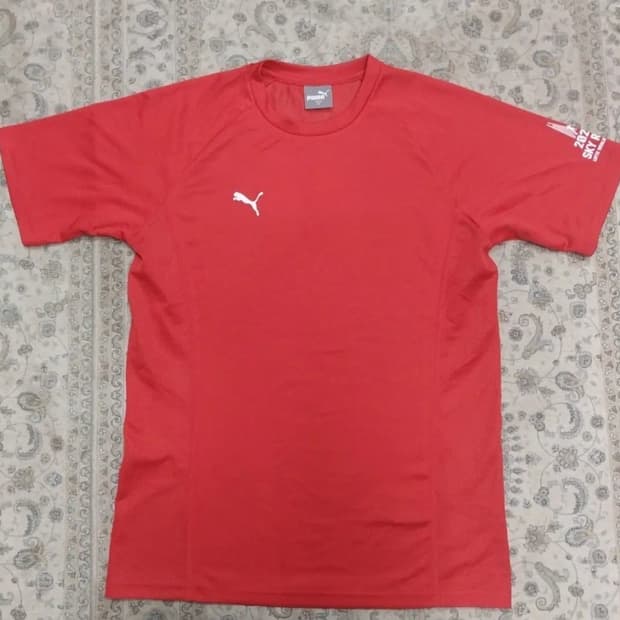 PUMA 메쉬 기능성 2023 SKY RUN 반팔티 M