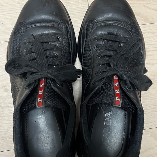 프라다 아메리카컵 6.5