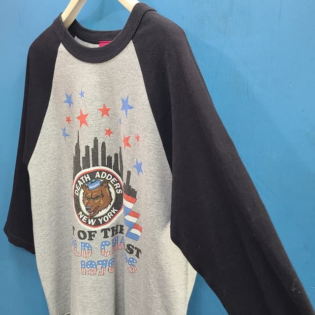 USA 미쉬카 뉴욕의 곰