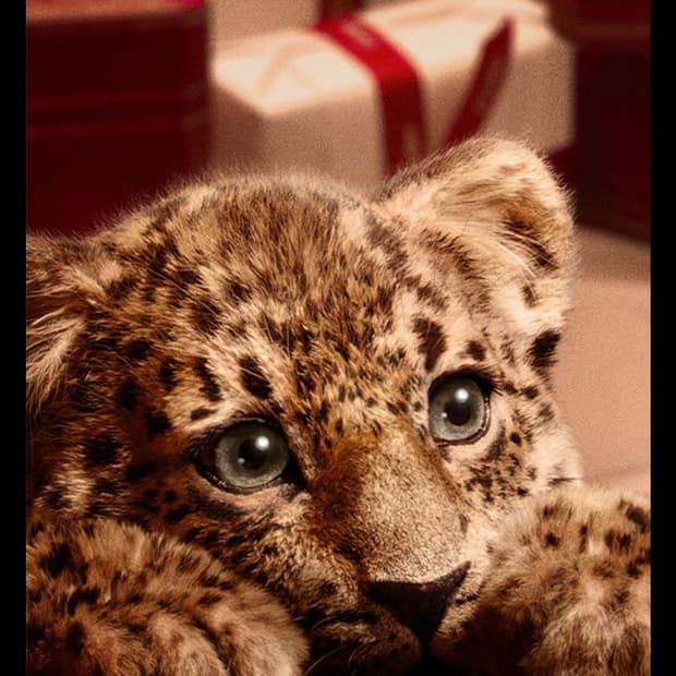 xoxoxosm님 결재창