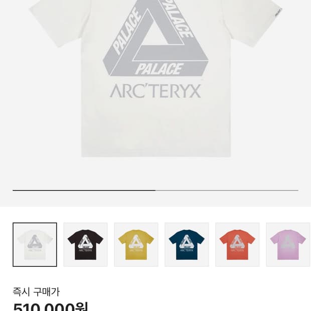 팔라스 x 아크테릭스 반팔
