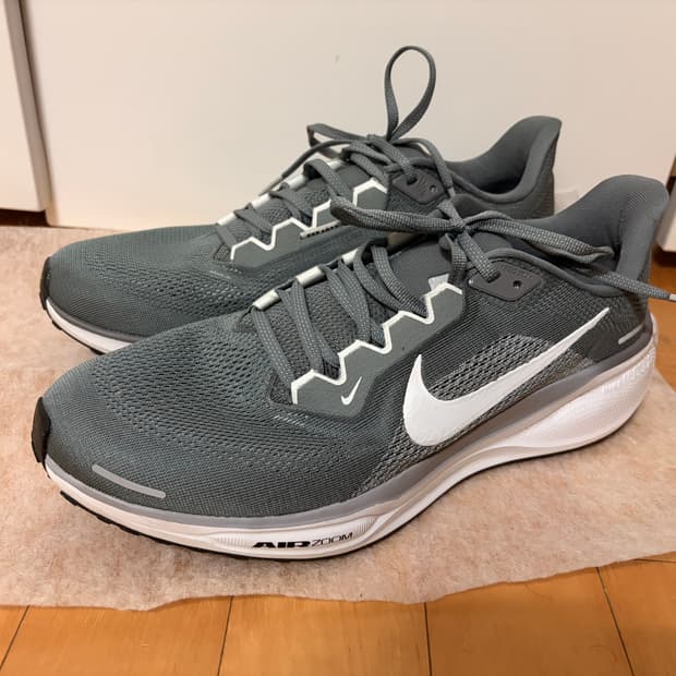 나이키 에어 줌 페가수스 41 쿨그레이 (사이즈 290)