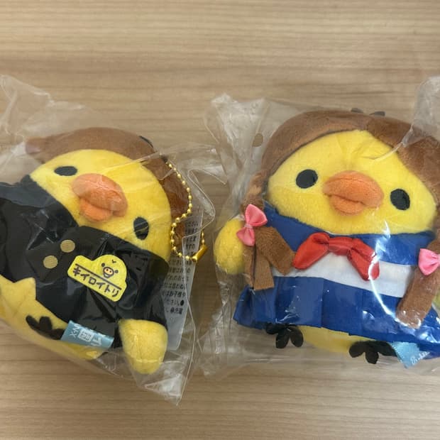 산엑스 키이로이토리 학원시리즈 카레시?카노죠? 세트