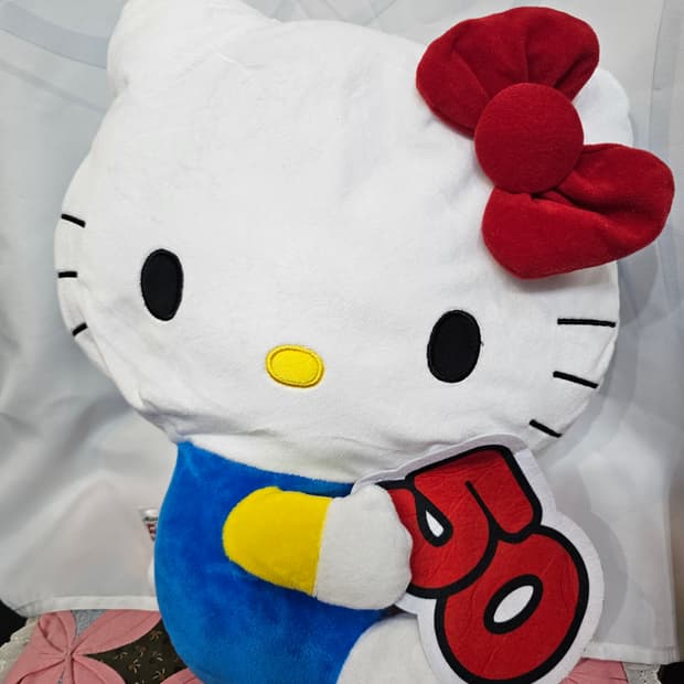 헬로키티 50주년 인형