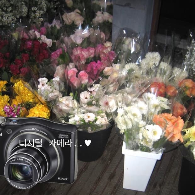 작례! 후지필름 FinePix F750 디지털카메라 디카