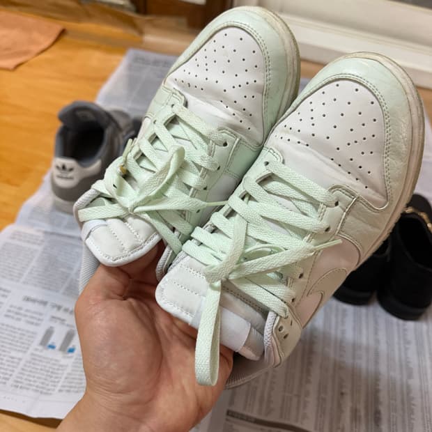 나이키 덩크로우 넥스트 네이쳐 베일리 그린 앤 화이트 255판매합니다!