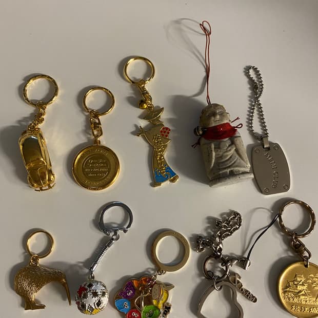 폭스바겐 키링 등 일괄