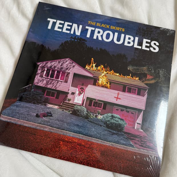 검정치마 틴트러블즈 Lp