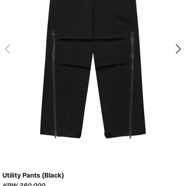 symm Utility Pants 2사이즈 구매합니다