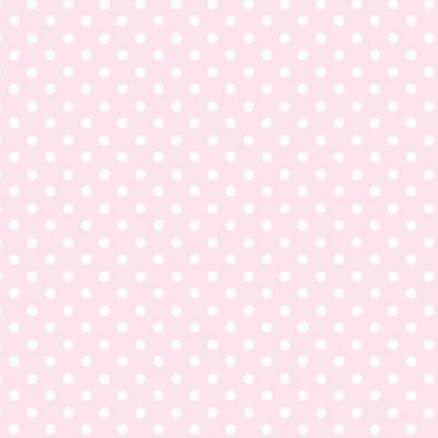 chu님결제창