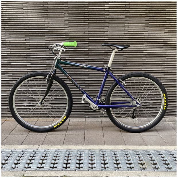 90's GIANT 'Iguana' Restore Bicycle