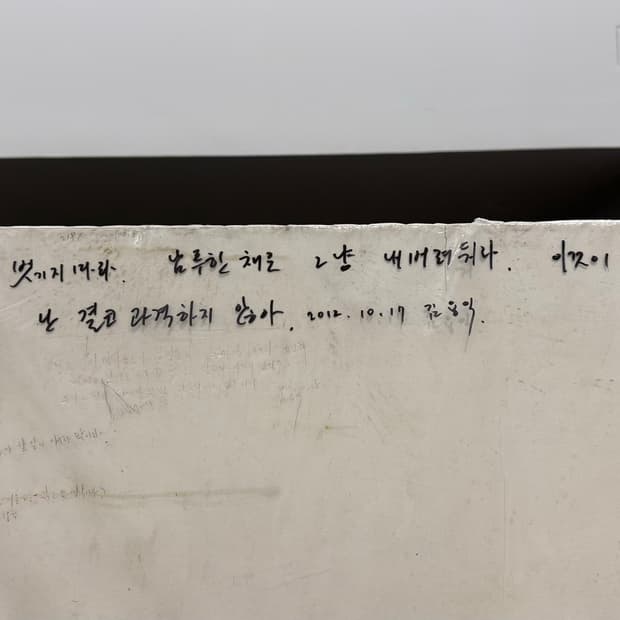 탈리오비보 닥터백 라지 구해요