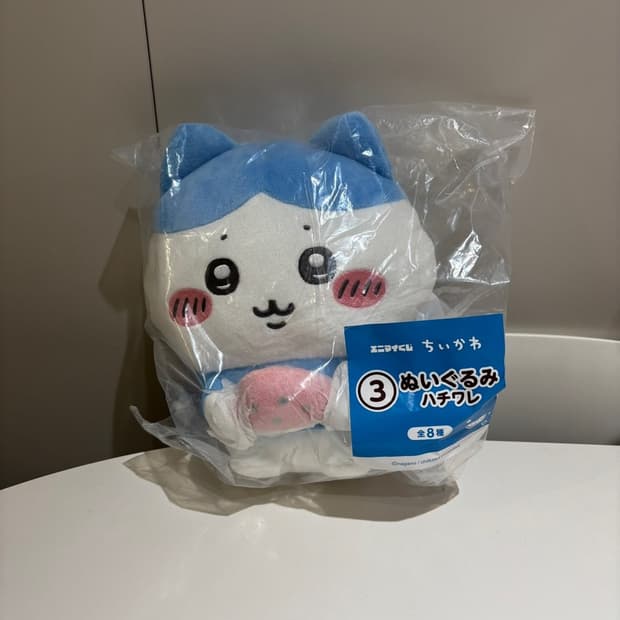 치이카와 여름쿠지 하치와레