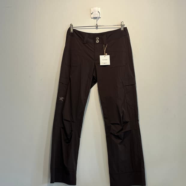 Arcteryx windbreaker pants