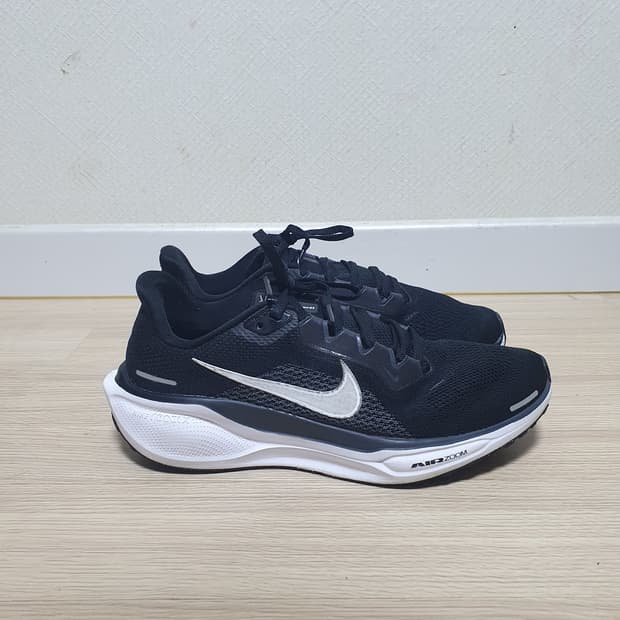 나이키 페가수스 41 러닝화 255