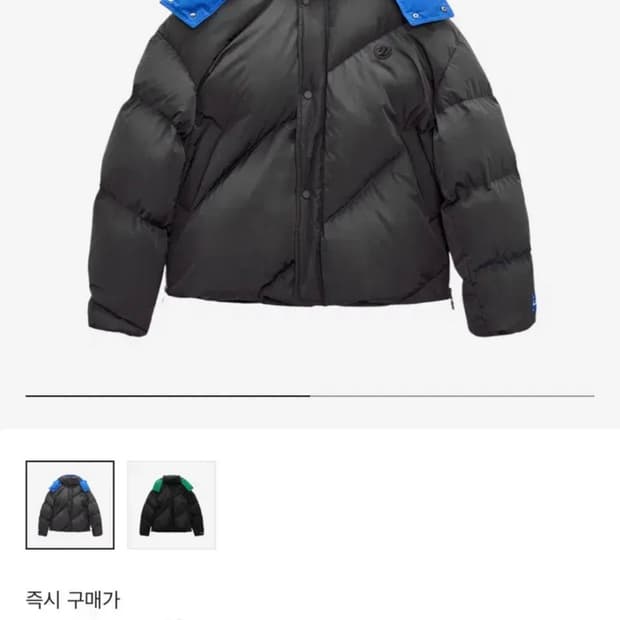 아더에러 자라 콜라보  패딩 그레이