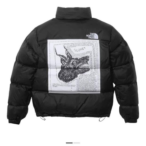 (구매) 슈프림 노스페이스 눕시 삽니다