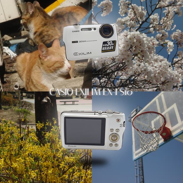 작례⭕️ 카시오 엑슬림 EX-FS10