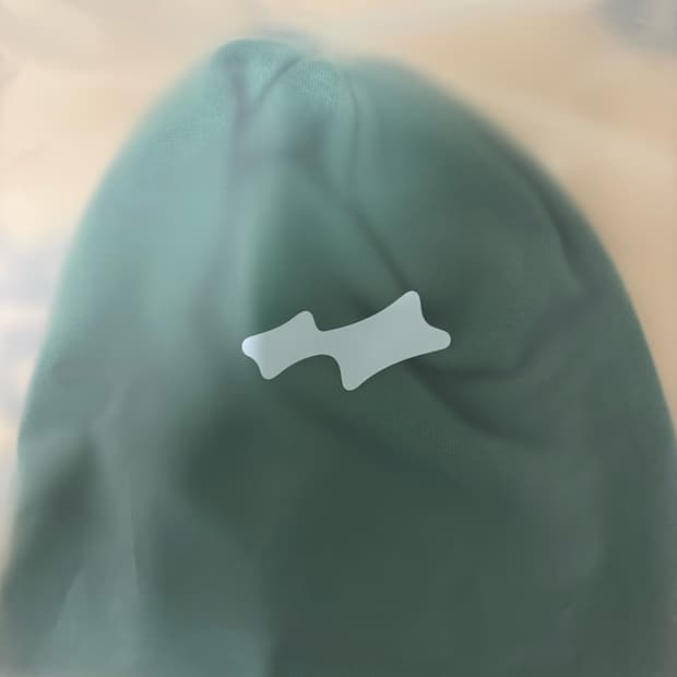 SKYLRK 비니 PINE