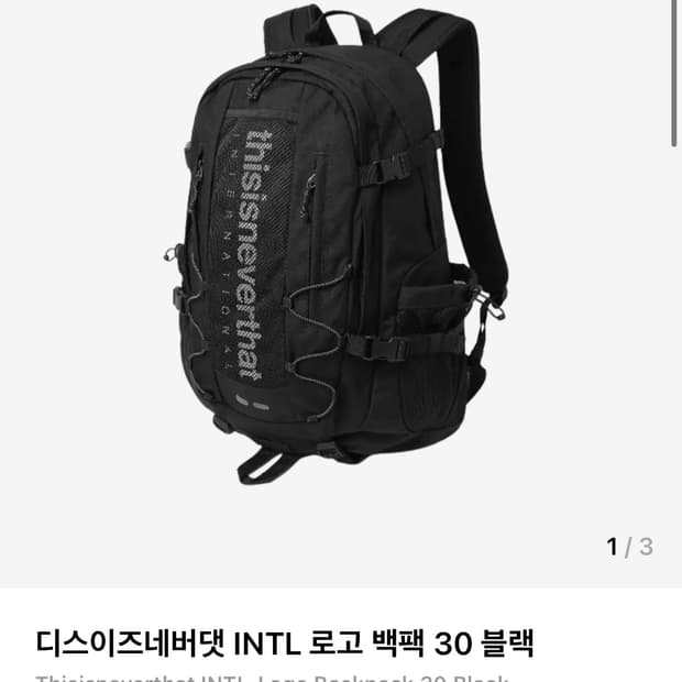 디스이즈네버댓 INTL 로고 백팩 30 블랙 새상품