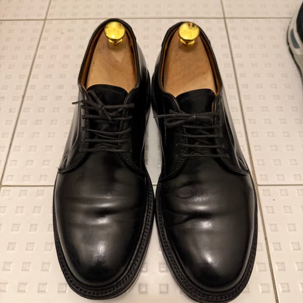 알든 코도반 플레인토 9901 7.5D 255-2600